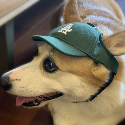 Baseball Cap for Cats and Dogs