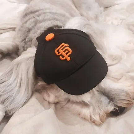 Baseball Cap for Cats and Dogs