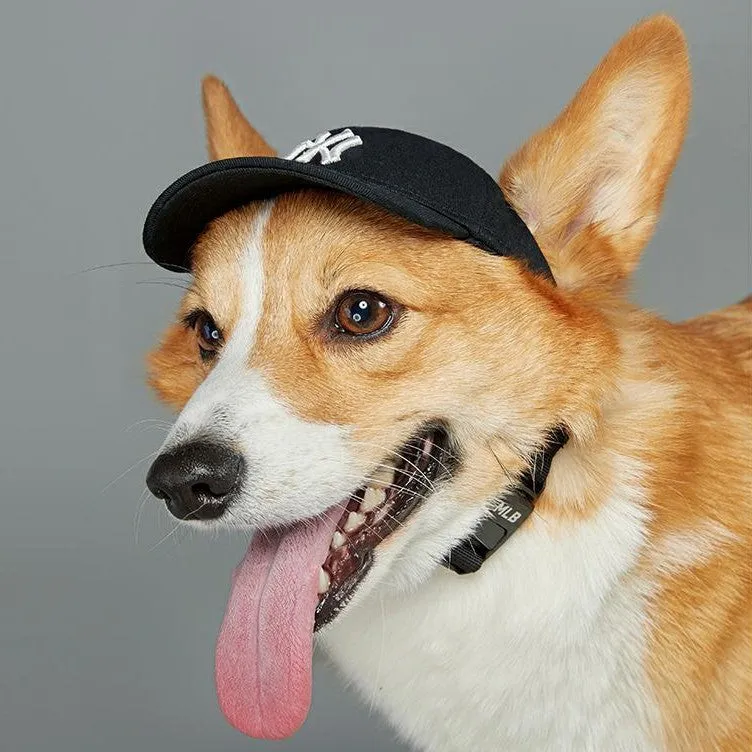 Baseball Cap for Cats and Dogs