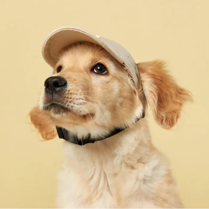 Baseball Cap for Cats and Dogs