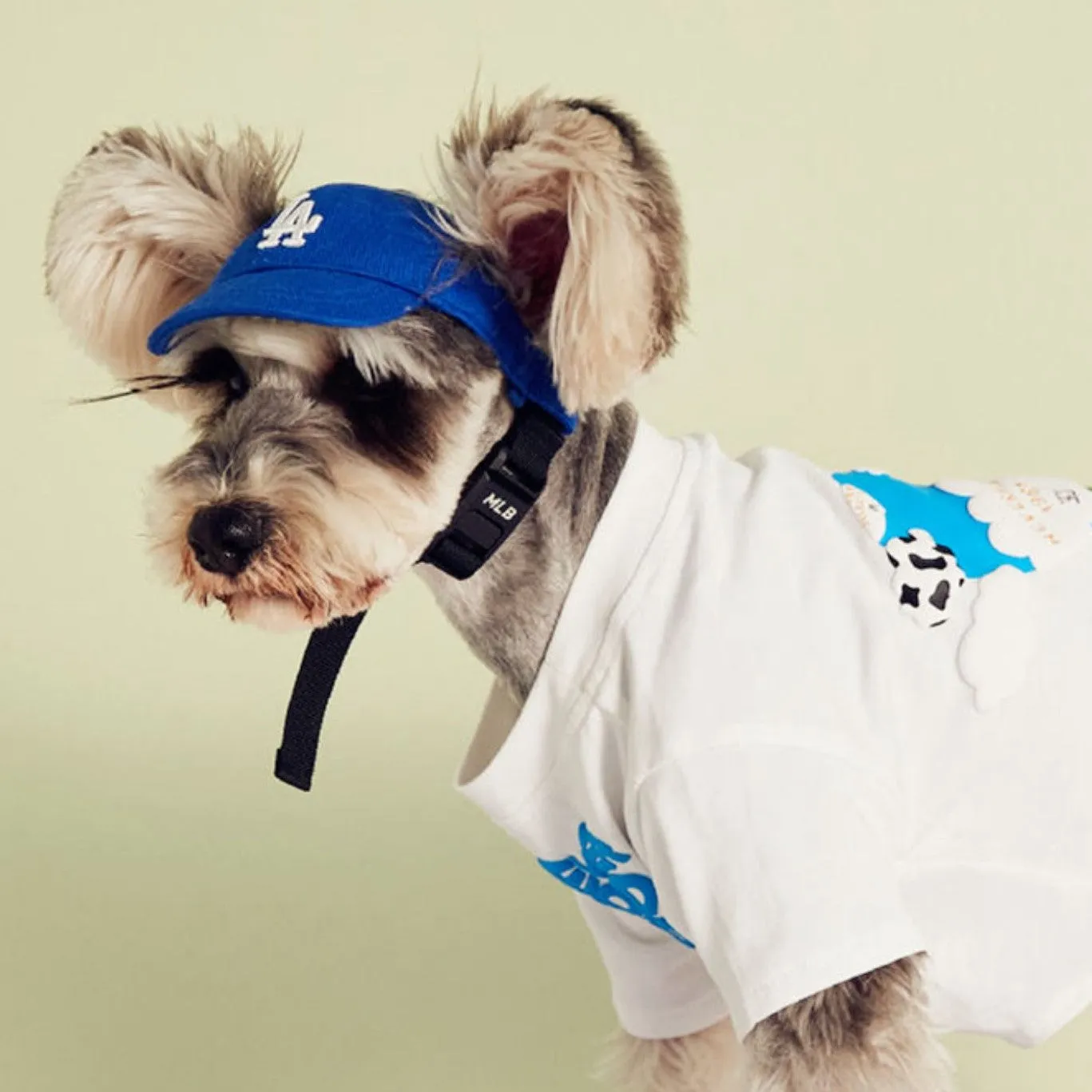 Baseball Cap for Cats and Dogs