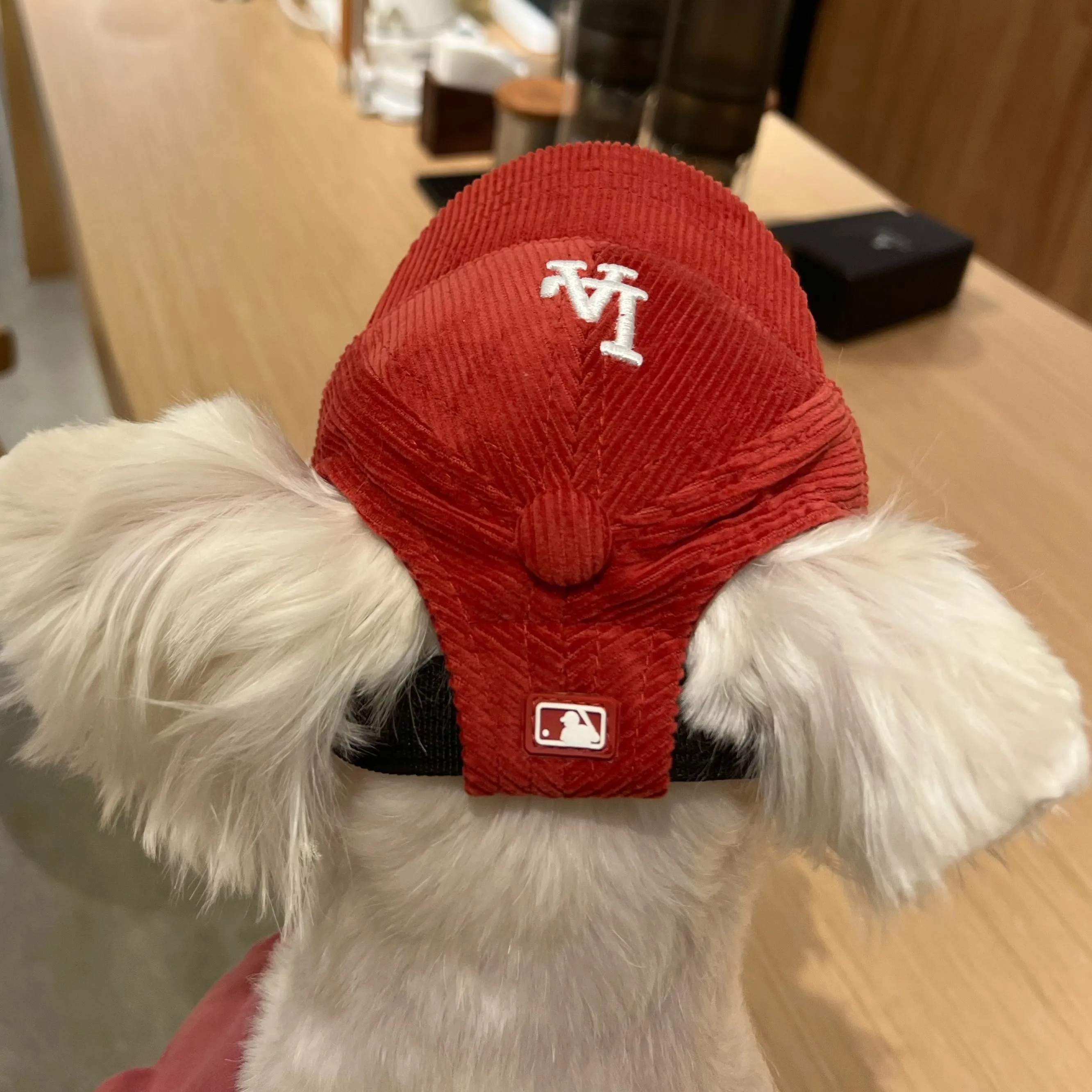 Baseball Cap for Cats and Dogs