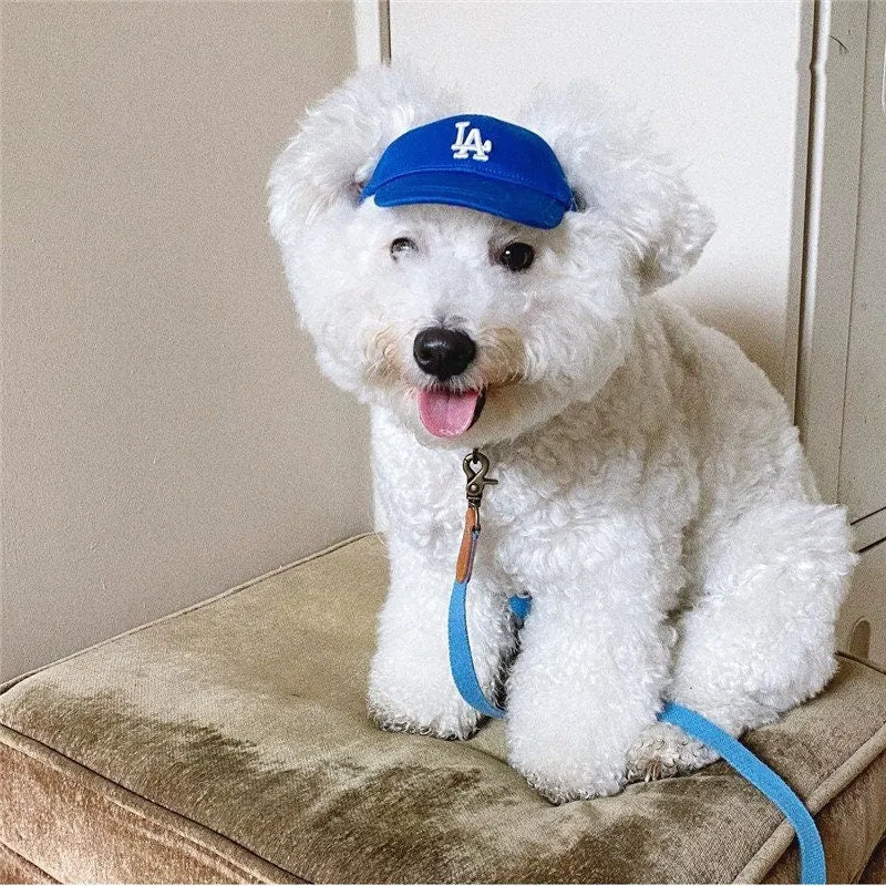 Baseball Cap for Cats and Dogs