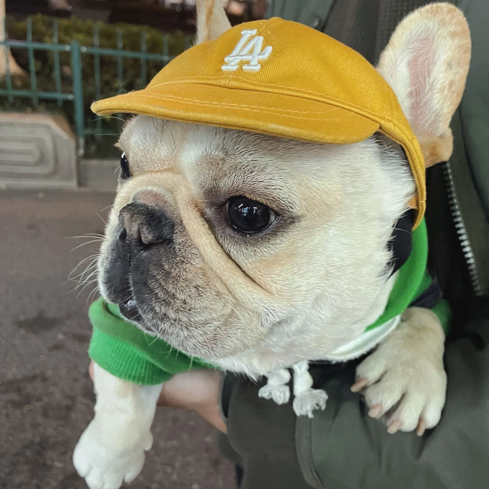 Baseball Cap for Cats and Dogs