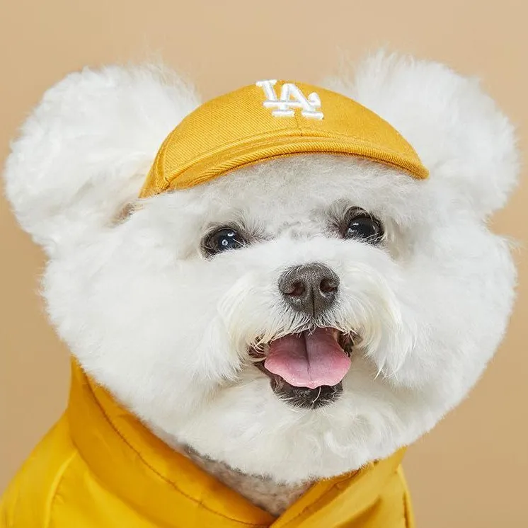 Baseball Cap for Cats and Dogs