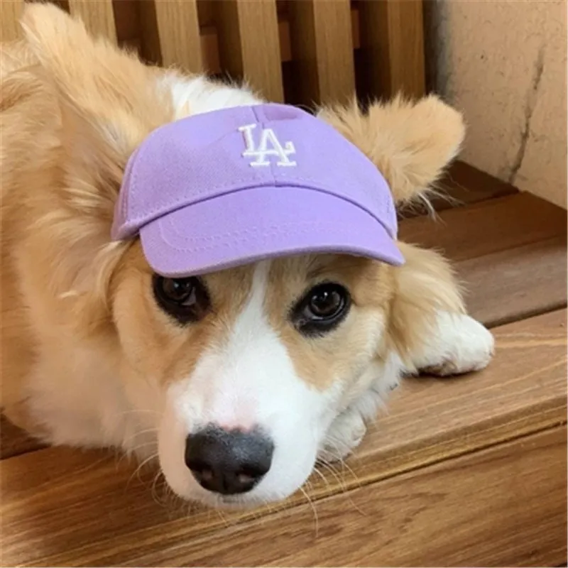 Baseball Cap for Cats and Dogs