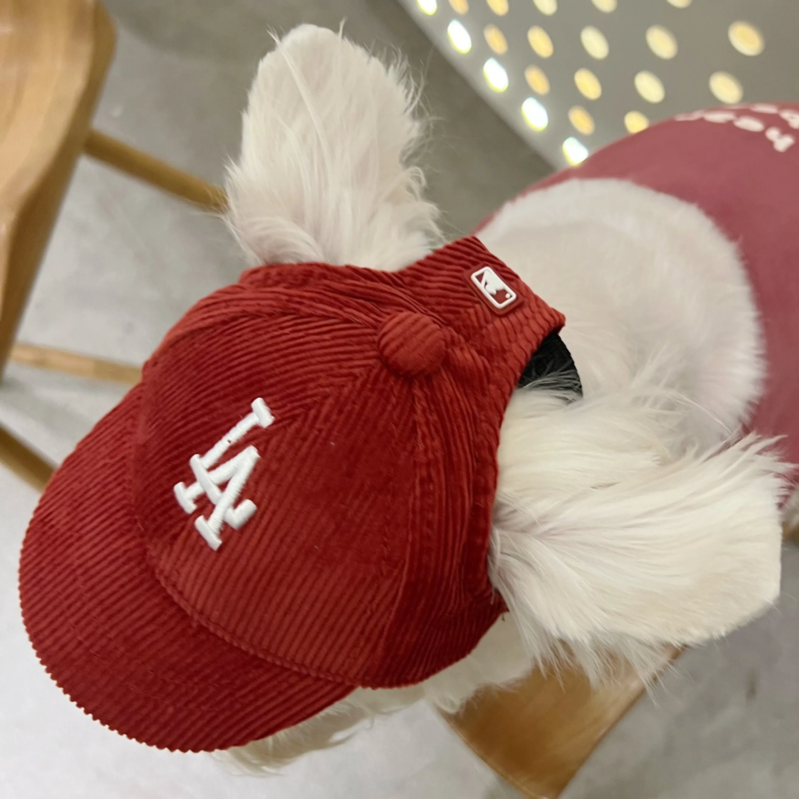 Baseball Cap for Cats and Dogs