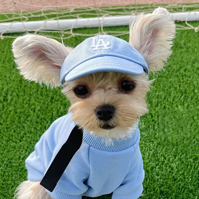 Baseball Cap for Cats and Dogs