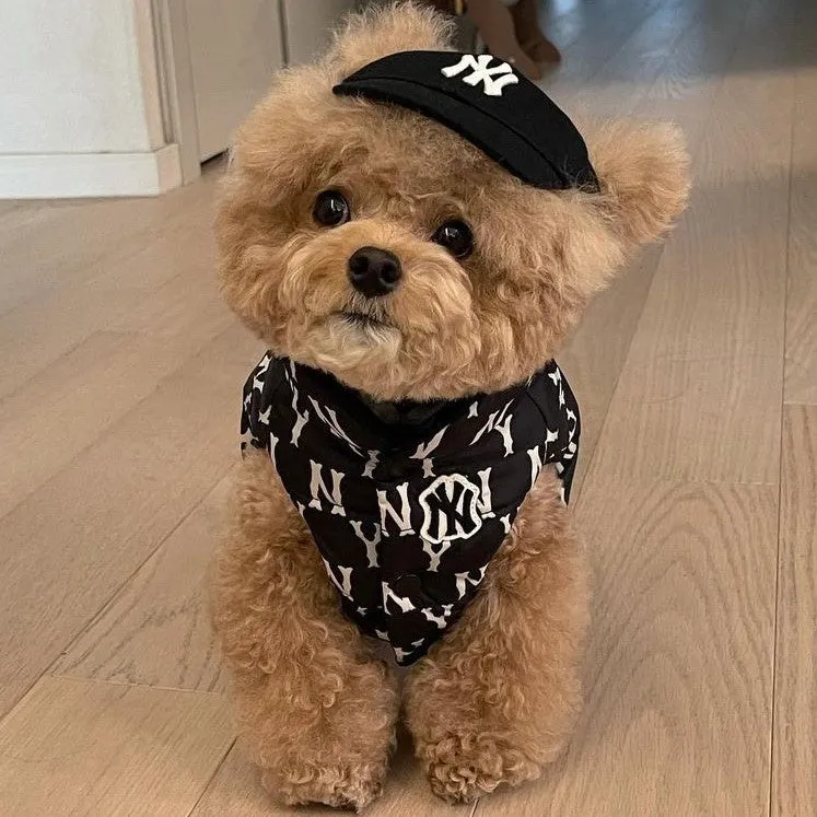 Baseball Cap for Cats and Dogs